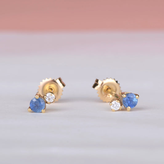 Earrings 14k sparkle indigo